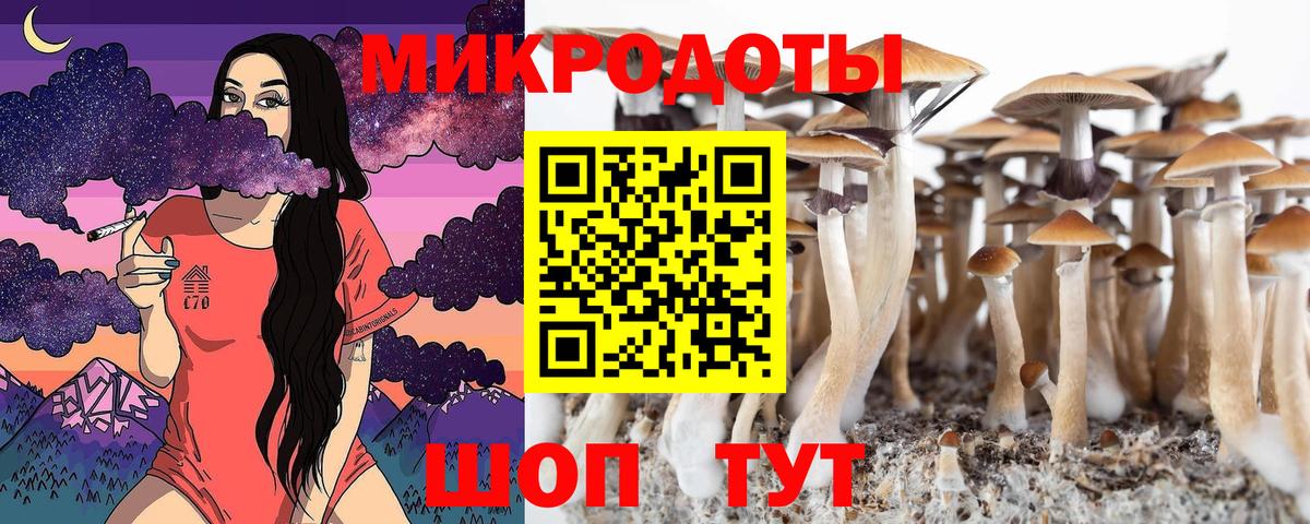 Галлюциногенные грибы Psilocybine cubensis Каменск-Шахтинский