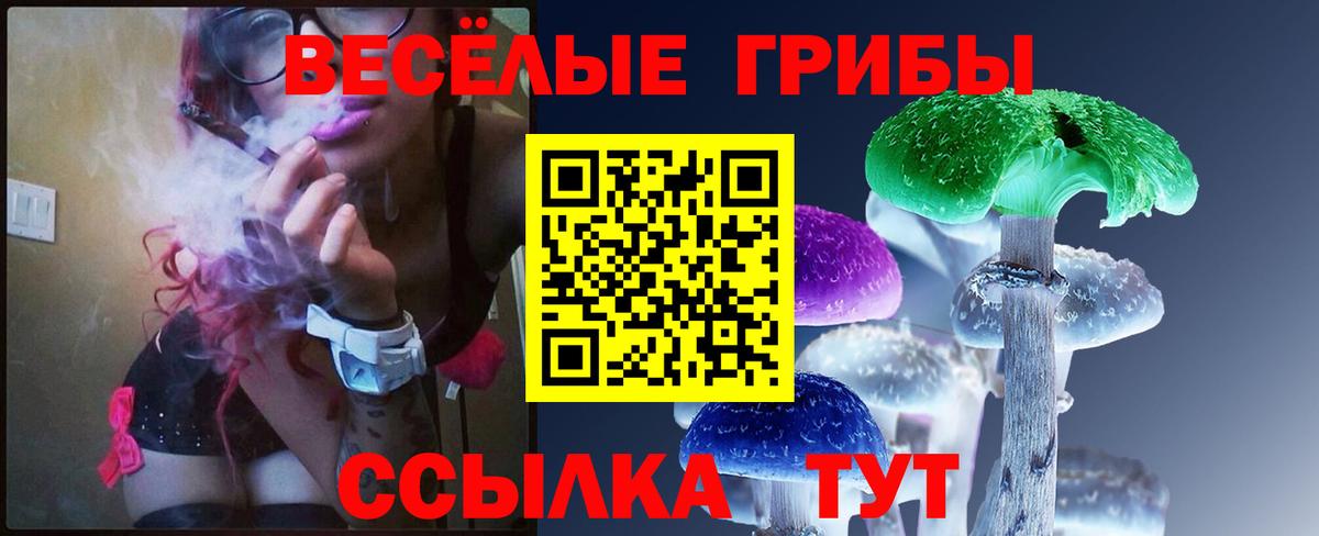 Галлюциногенные грибы мицелий  Псилоцибиновые грибы мухоморы  Вход с VPN  Каменск-Шахтинский 